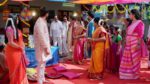 Annapoorna 6th March 2025 Episode 816 Watch Online
