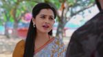Annapoorna 21st March 2025 Episode 827 Watch Online