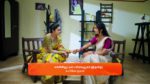 Gattimelam 26th March 2025 Episode 48 Watch Online