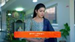 Gattimelam 27th March 2025 Episode 49 Watch Online