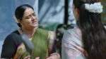 Lakshmi Nivasa 20th March 2025 Episode 569 Watch Online