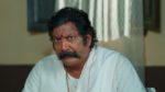 Maa Annaya (Zee Telugu) 4th March 2025 Episode 311 Watch Online