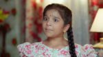 Malli Nindu Jabili 20th March 2025 Mallika Implores Bhairava Episode 908