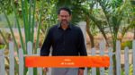 Meghasandesam (Zee Telugu) 18th March 2025 Episode 261