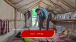 Paluke Bangaramayana 10th March 2025 Selva Learns about Bobby Episode 481