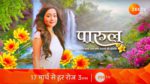Parul (Zee tv)