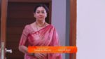 Shrirasthu Shubhamasthu 25th March 2025 Episode 705