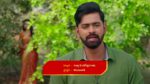 Vantalakka 7th March 2025 Krishna Succumbs to Sorrow Episode 854