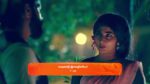 Veera (Zee Tamil) 3rd March 2025 Episode 281 Watch Online