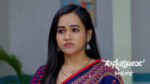 Annapoorna 19th February 2025 Episode 805 Watch Online