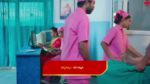 Paluke Bangaramayana 6th March 2025 Bobby’s Unsuccessful Attempt Episode 478