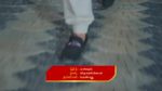 Paluke Bangaramayana 31st March 2025 Abhishek’s Quest for Bobby Episode 499