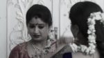Ammayi Garu 21st April 2025 Episode 769 Watch Online