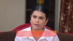 Anna (Tamil) 9th April 2025 Episode 644 Watch Online