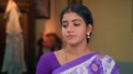 Anna (Tamil) 24th April 2025 Episode 655 Watch Online