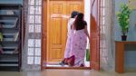 Annapoorna 11th April 2025 Episode 842 Watch Online