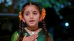 Annapoorna 15th April 2025 Episode 844 Watch Online