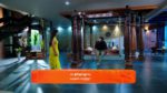 Gattimelam 18th April 2025 Episode 65 Watch Online