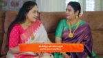 Gattimelam 30th April 2025 Episode 73 Watch Online