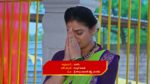 Maguva O Maguva 30th April 2025 Chenchalamma Cautions Vijayamma Episode 375