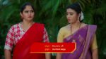 Malli Nindu Jabili 12th April 2025 Ramya Is Remorseful Episode 928