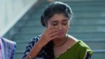 Meghasandesam (Zee Telugu) 15th April 2025 Episode 286