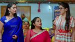 Nindu Noorella Saavasam 1st April 2025 Episode 532 Watch Online