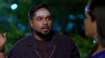Nindu Noorella Saavasam 21st April 2025 Episode 549