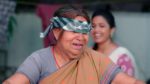 Paape Maa Jeevana Jyothi 15th April 2025 Aditya Cares for Divya Episode 1230