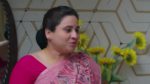 Paluke Bangaramayana 29th April 2025 Krishna Conspires Against Sunny Episode 524