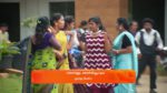 Sandhya Raagam (Tamil) 1st April 2025 Episode 492 Watch Online