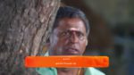 Sandhya Raagam (Tamil) 17th April 2025 Episode 504 Watch Online