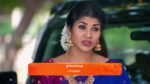 Sandhya Raagam (Tamil) 23rd April 2025 Episode 508 Watch Online