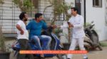 Vasudha (Zee Tv) 22nd April 2025 Episode 182 Watch Online