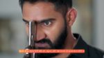 Vasudha (Zee Tv) 30th April 2025 Episode 190 Watch Online
