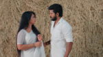 Gunde Ninda Gudi Gantalu 2nd April 2025 Balu’s Attempt Misleads the Family Episode 392