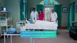 Roshnai (Star Jalsha) 3rd April 2025 Doctors Recognise Roshnai’s Efforts Episode 339