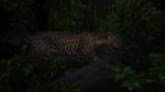 Wagle Ki Duniya 25th April 2025 Surviving The Jungle Episode 1271