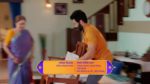 Yed Lagla Premach (Star Pravah) 26th April 2025 Raaya Stops Nikki’s Wrath Episode 294
