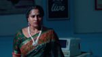 Ammayi Garu 12th May 2025 Episode 784 Watch Online