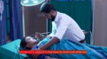 Anandi (Zee Bangla) 19th May 2025 Episode 234 Watch Online