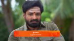 Anna (Tamil) 1st May 2025 Episode 661 Watch Online