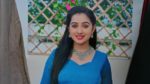Annapoorna 19th May 2025 Episode 868 Watch Online