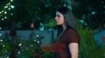 Chamanthi (Zee Telugu) 9th May 2025 Episode 117 Watch Online