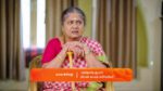 Gattimelam 15th May 2025 Episode 84 Watch Online