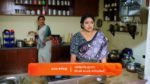 Gattimelam 22nd May 2025 Episode 89 Watch Online