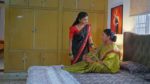 Maguva O Maguva 10th May 2025 Sindhura Doubts Sriramulu Episode 384