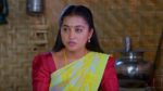 Maguva O Maguva 23rd May 2025 Sindhura’s Joyful Realisation Episode 395