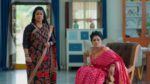 Meghasandesam (Zee Telugu) 3rd May 2025 Episode 302