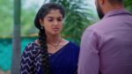 Meghasandesam (Zee Telugu) 17th May 2025 Episode 313